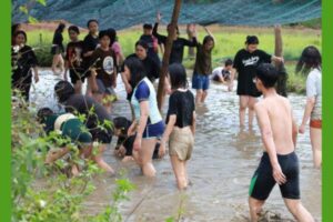 Trò chơi bơi mương bắt cá