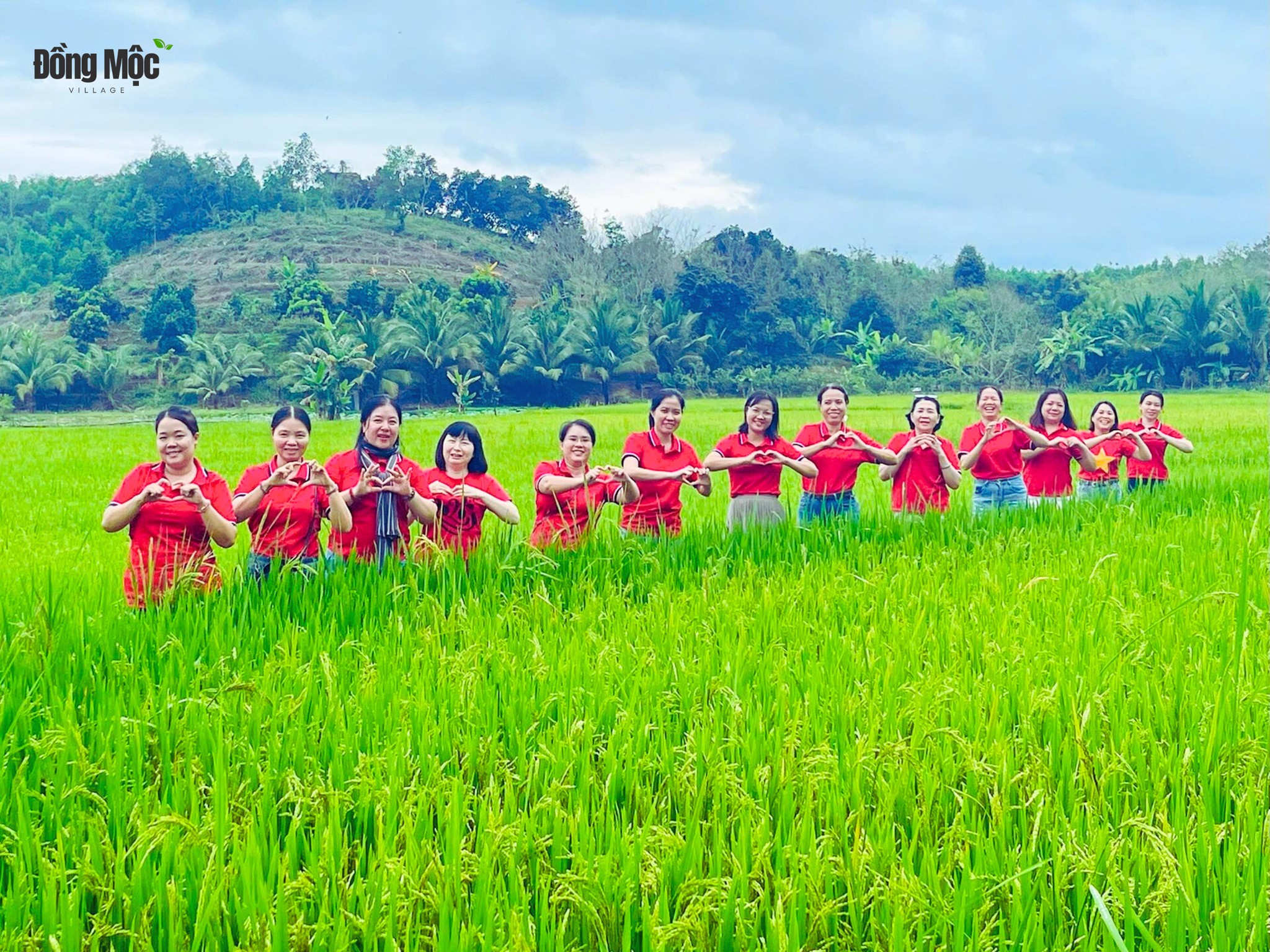 Đồng lúa tháng 3