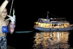 Tour câu mực đêm Nha Trang