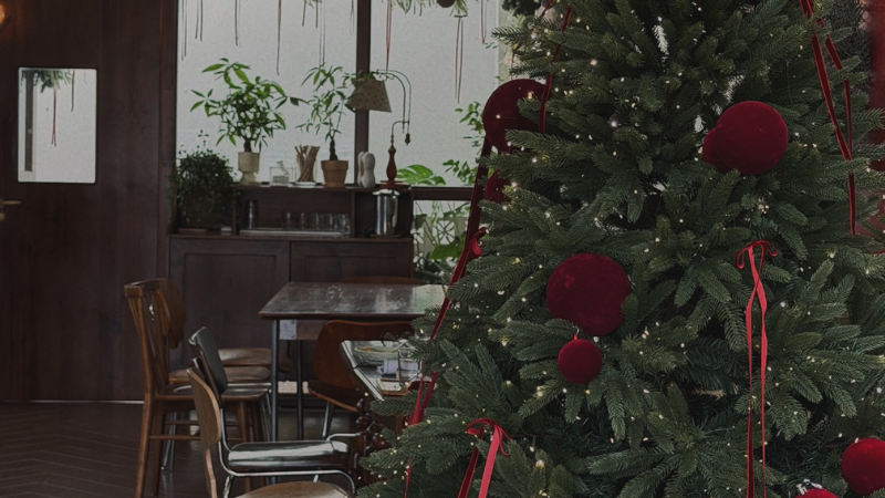 Blu:m - cafe & more không gian trang trí ấm ấp và chỉn chu