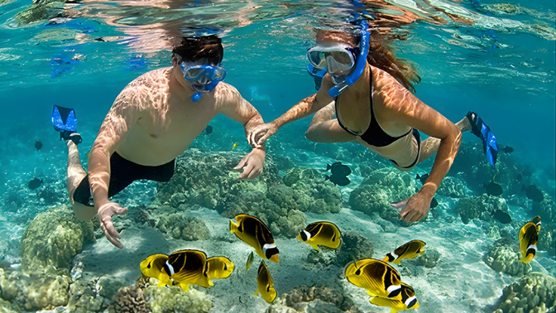 Hòn Mun - Thiên đường lặn biển tại Việt Nam