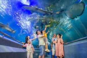 Viện hải dương học Nha Trang